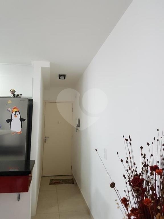 APARTAMENTO em VILA MARIA