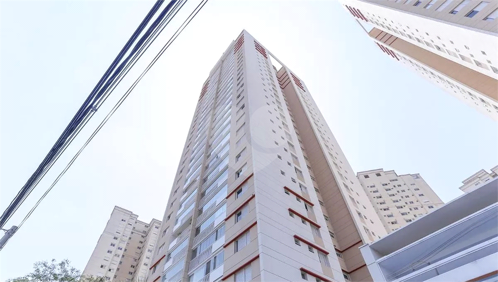 Apartamento Lapa