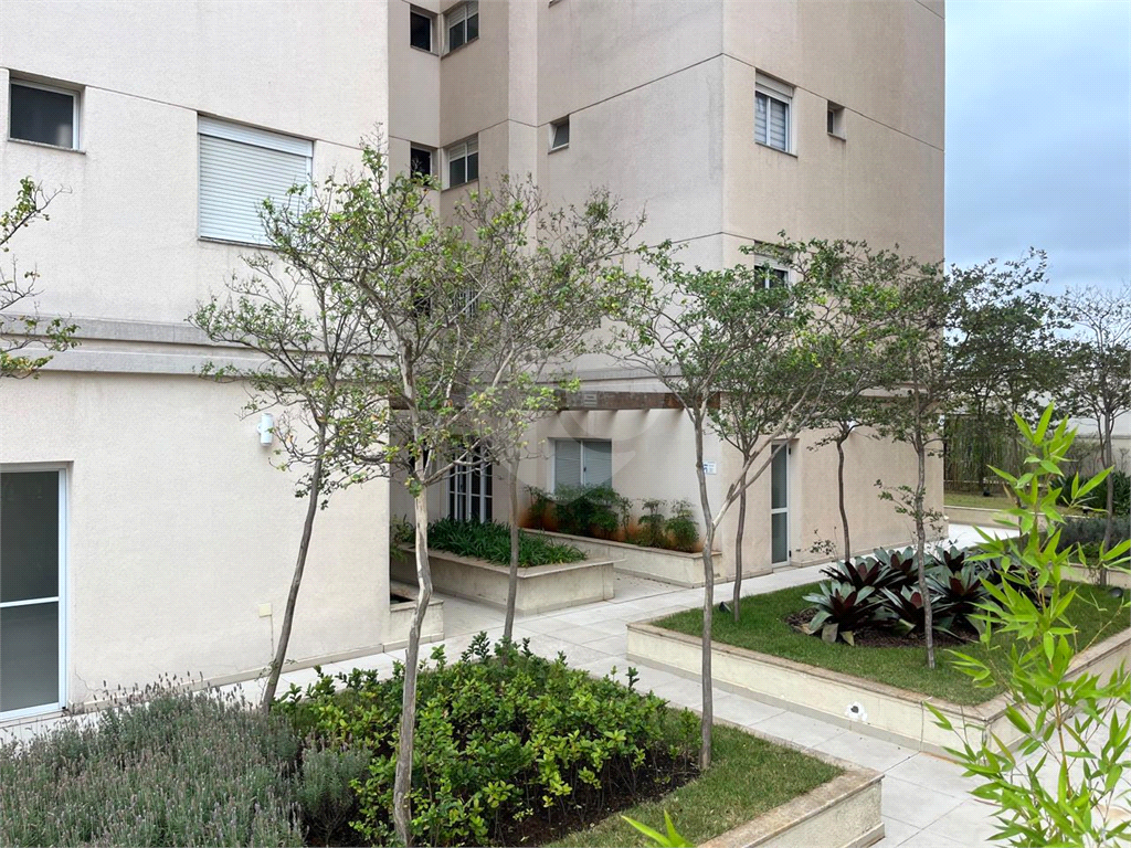 Apartamento lindo - mobiliado - Alvorada Santana - Mandaqui