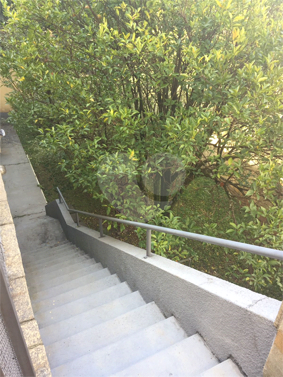 Casa térrea venda 3 dormitórios 1 suíte 4 vagas quintal área gourmet área verde horto florestal