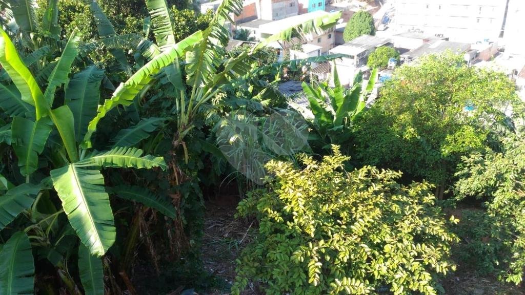 Excelente Terreno para Venda - Vila Terezinha