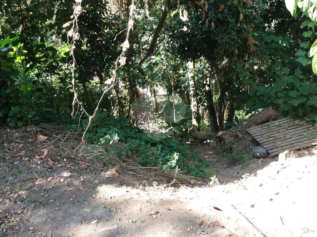 Terreno em condomínio na Serra da Cantareira 