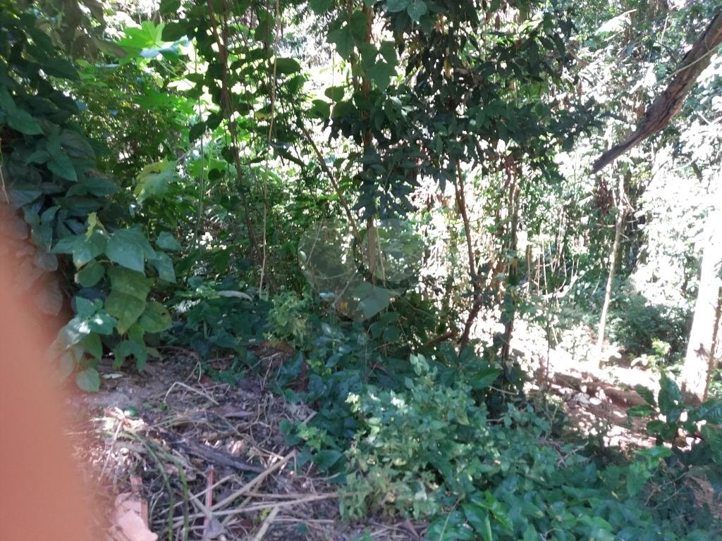 Terreno alto padrão Serra da Cantareira
