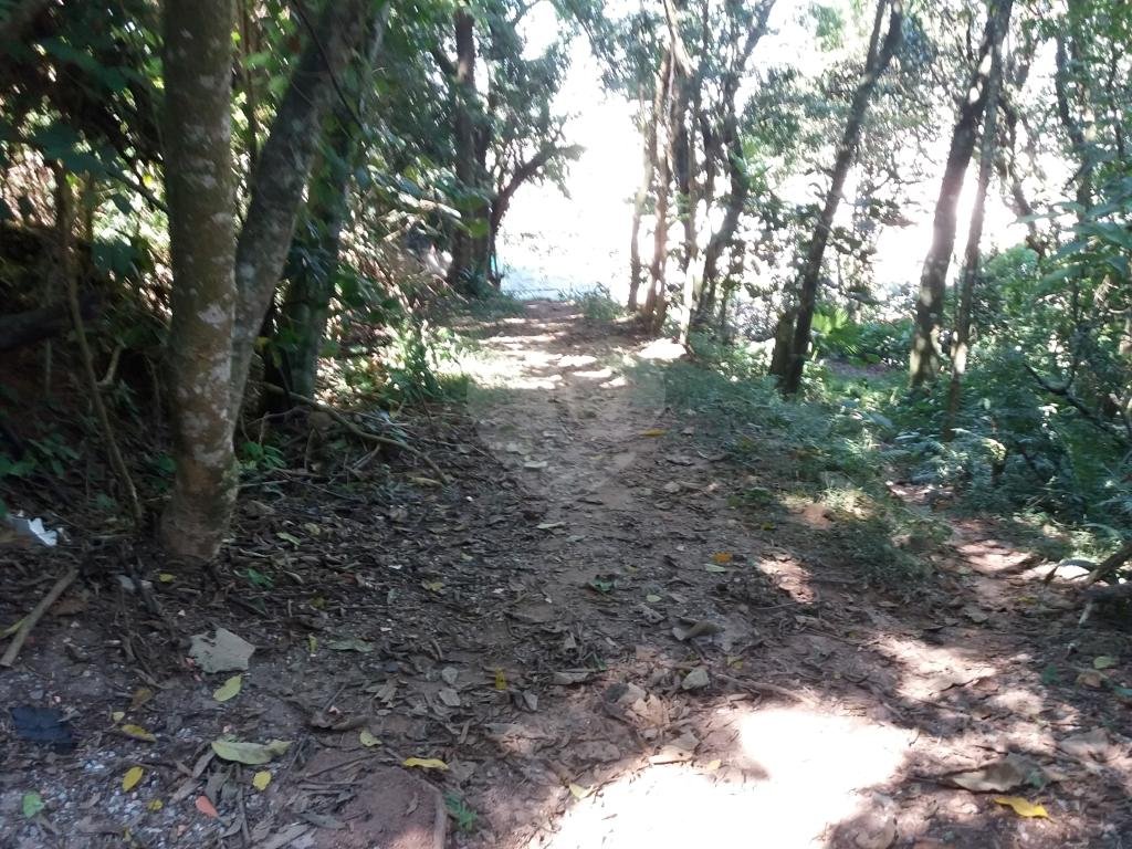Terreno alto padrão Serra da Cantareira