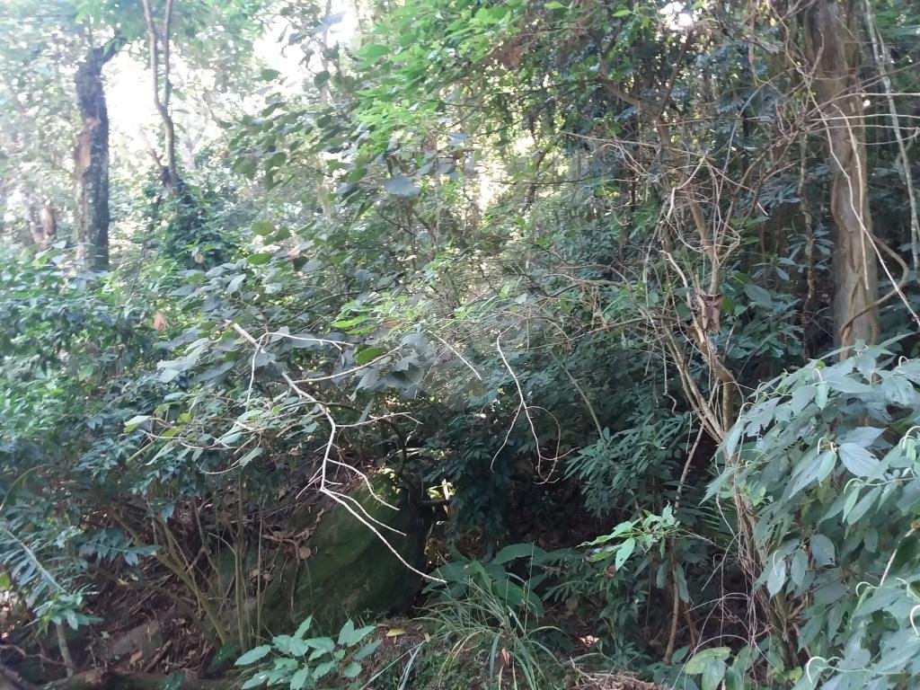 Terreno em  condomínio Serra da Cantareira