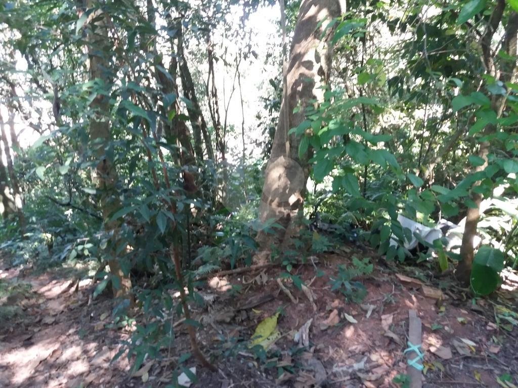 Terreno em condomínio na Serra da Cantareira.