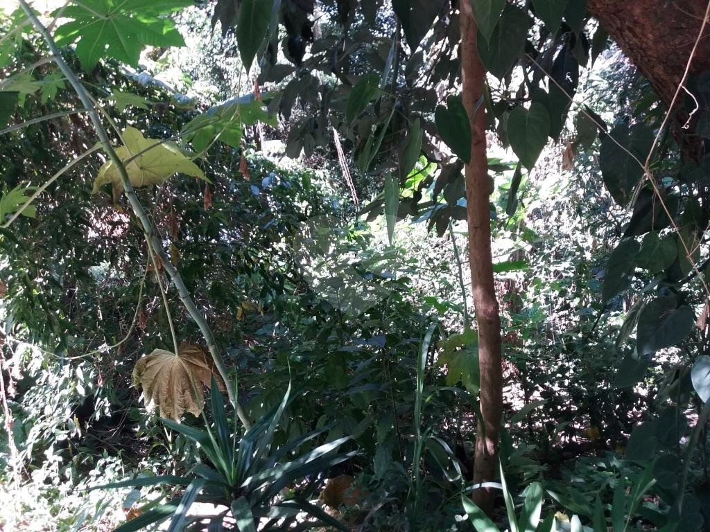 Terreno em condomínio na Serra da Cantareira.