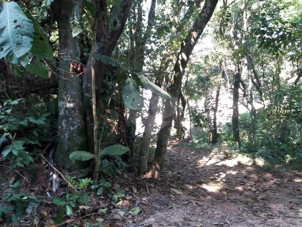 Terreno em condomínio na Serra da Cantareira.