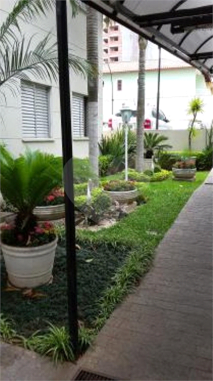 Apartamento para venda com 55 metros quadrados e 3 quartos  - São Paulo - SP.
