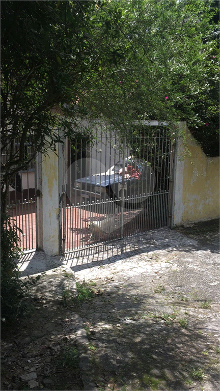 TERRENO  /  HORTO