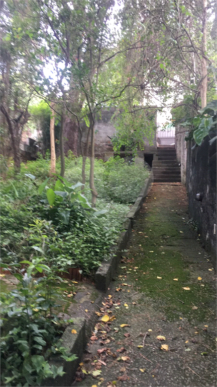 TERRENO  /  HORTO