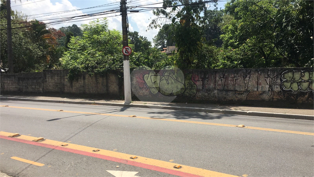 TERRENO  /  HORTO