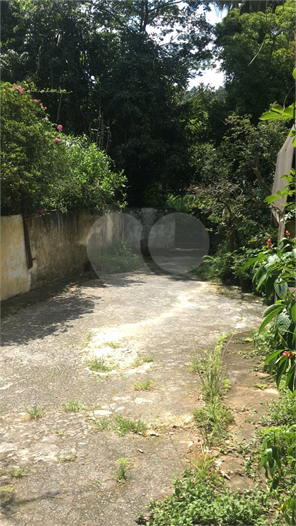 TERRENO  /  HORTO