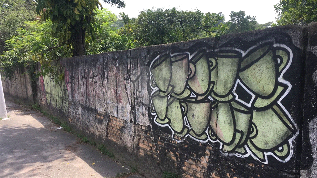 TERRENO  /  HORTO