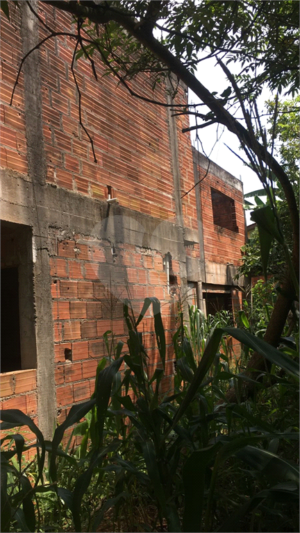 TERRENO  /  HORTO