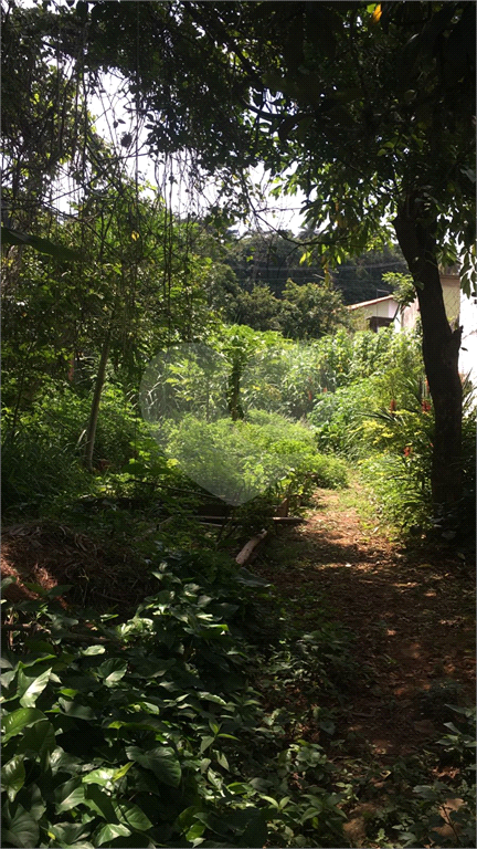 TERRENO  /  HORTO