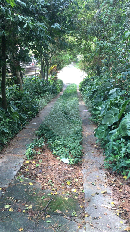 TERRENO  /  HORTO
