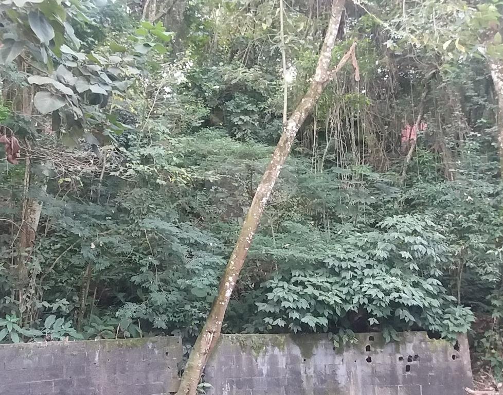 EXCELENTE OPORTUNIDADE PARA CONSTRUÇÃO DE ALTO PADRÃO