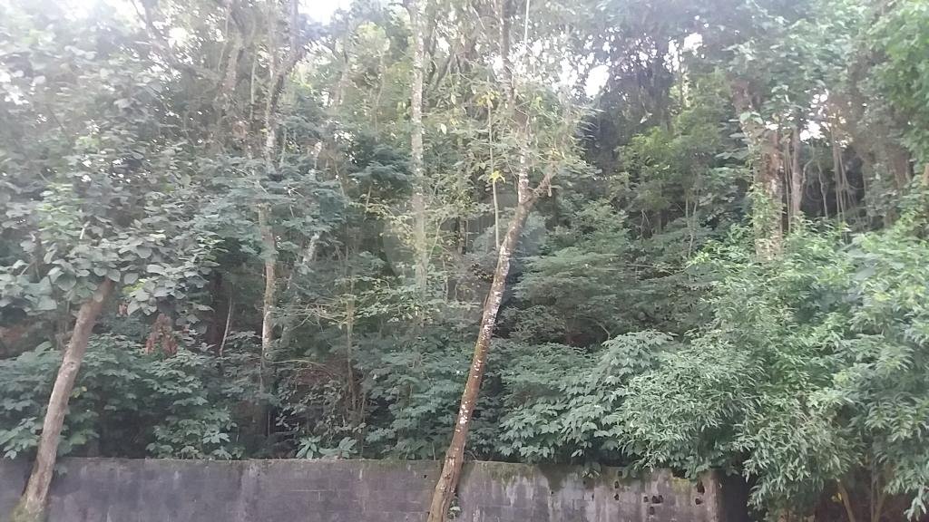 EXCELENTE OPORTUNIDADE PARA CONSTRUÇÃO DE ALTO PADRÃO