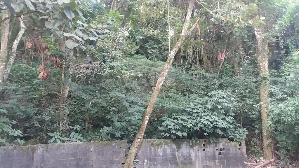 EXCELENTE OPORTUNIDADE PARA CONSTRUÇÃO DE ALTO PADRÃO