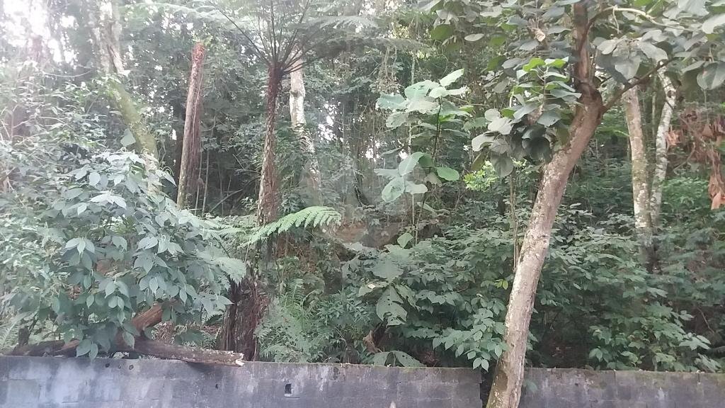 EXCELENTE OPORTUNIDADE PARA CONSTRUÇÃO DE ALTO PADRÃO