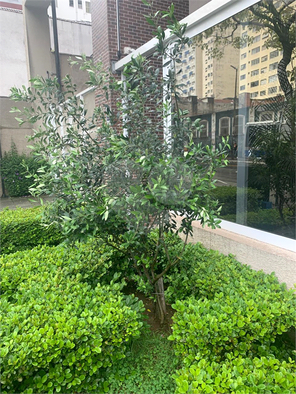 Foto 19