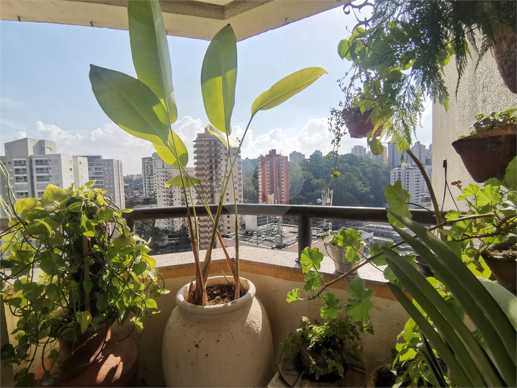 APARTAMENTO em JARDIM SUL