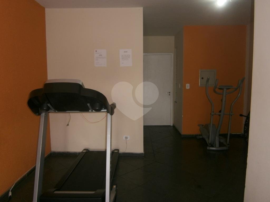 Lindo Apartamento Lauzane Paulista