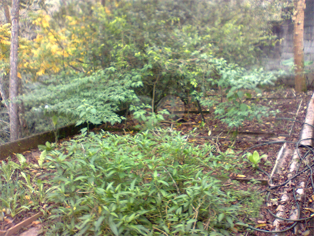 Chacara a venda 