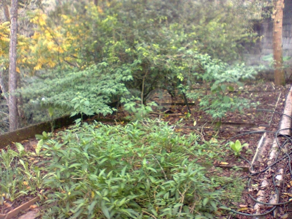 Chacara a venda 