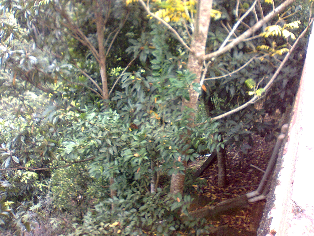 Chacara a venda 