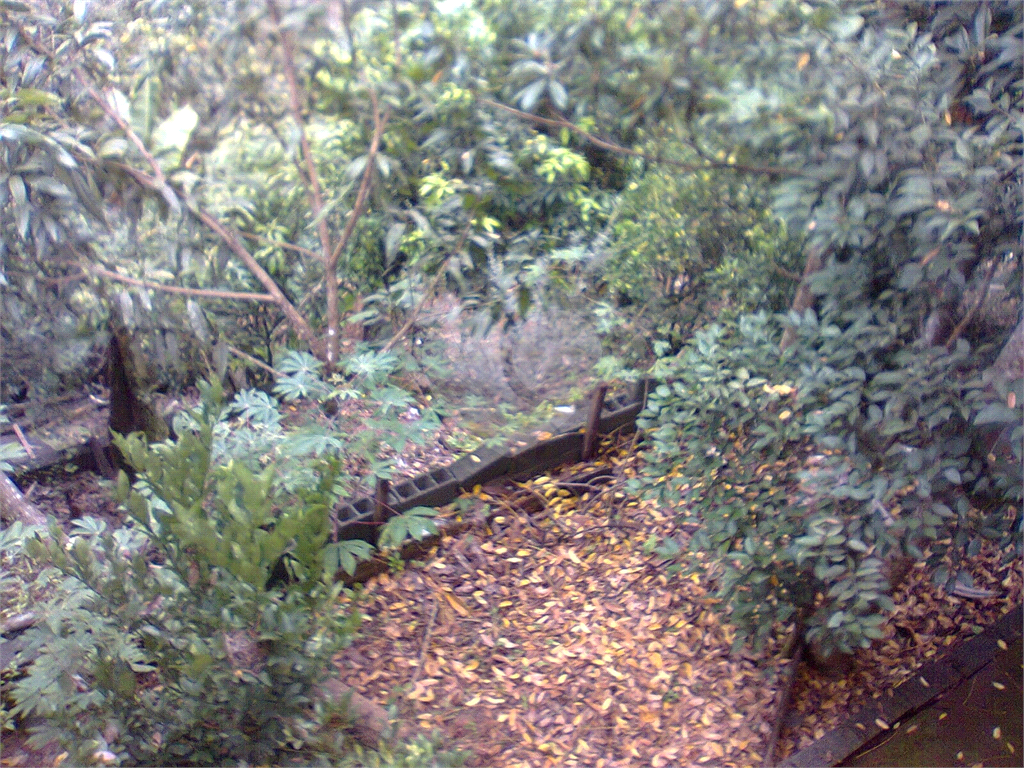 Chacara a venda 