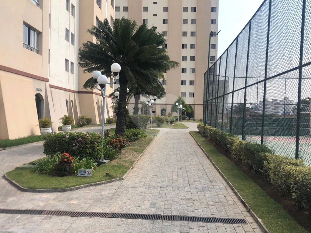 APARTAMENTO em MANDAQUI