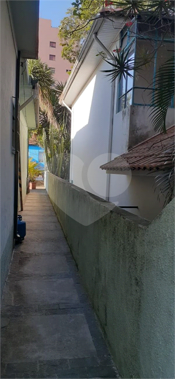 CASA TÉRREA, 3 QUARTOS 400 M²    NÃO GERMINADA