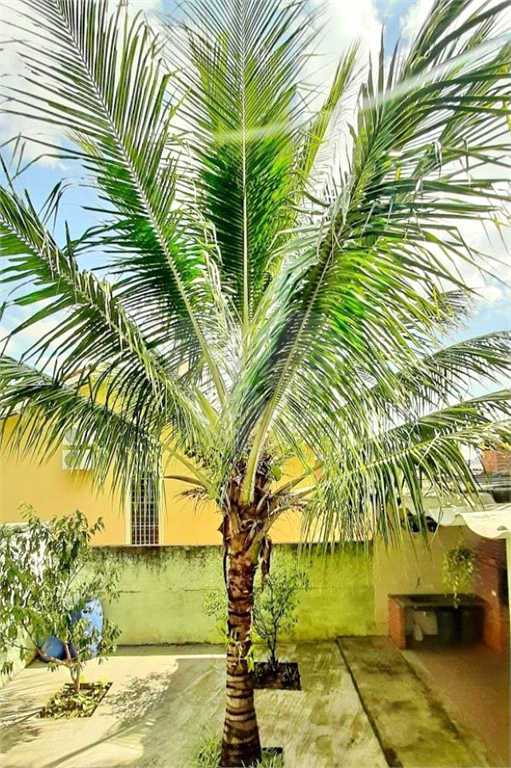 CASA TÉRREA, 3 QUARTOS 400 M²    NÃO GERMINADA