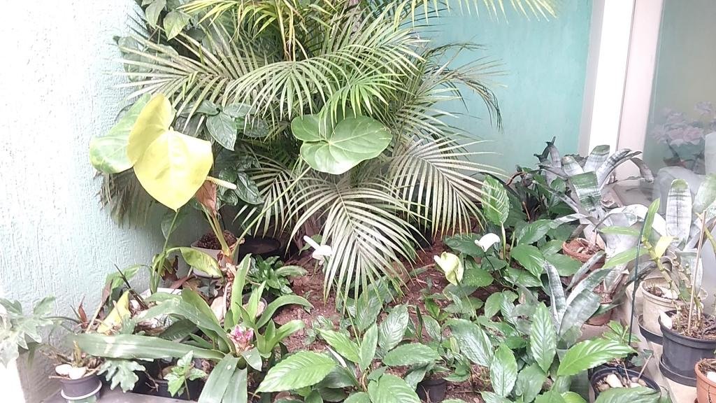Sobrado alto padrão Jardim França com 5 suites, piscina, salão de festas com lareira e sauna!