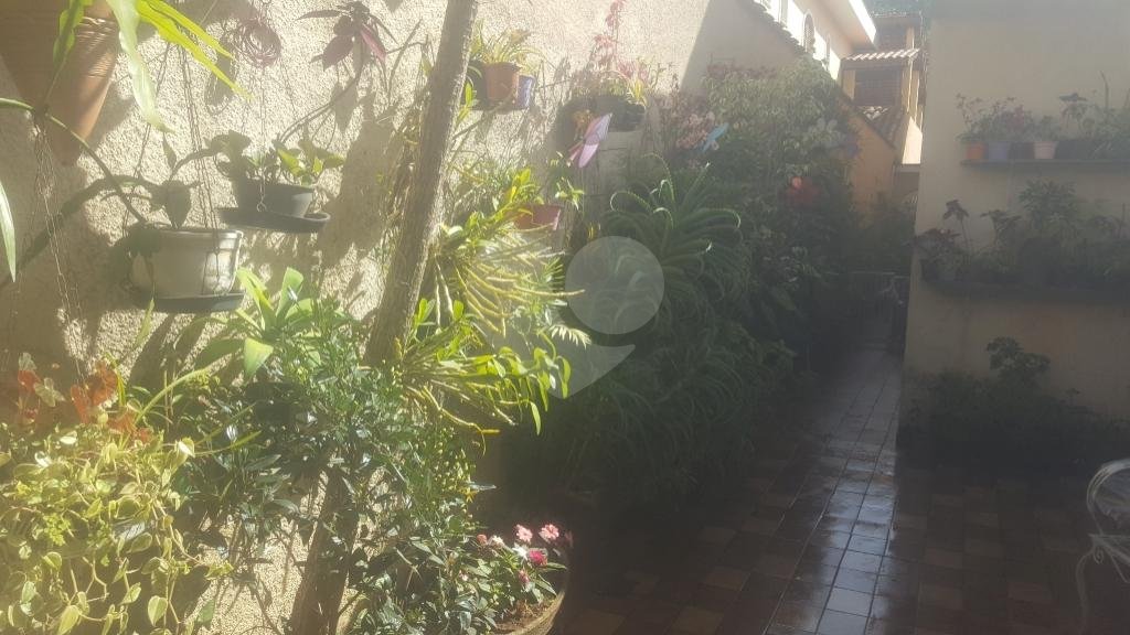 SOBRADO NO PÉ DA SERRA DA CANTAREIRA.