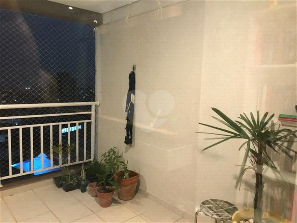Apartamento na Vila Guilherme com 3 dormitórios sendo 1 suíte