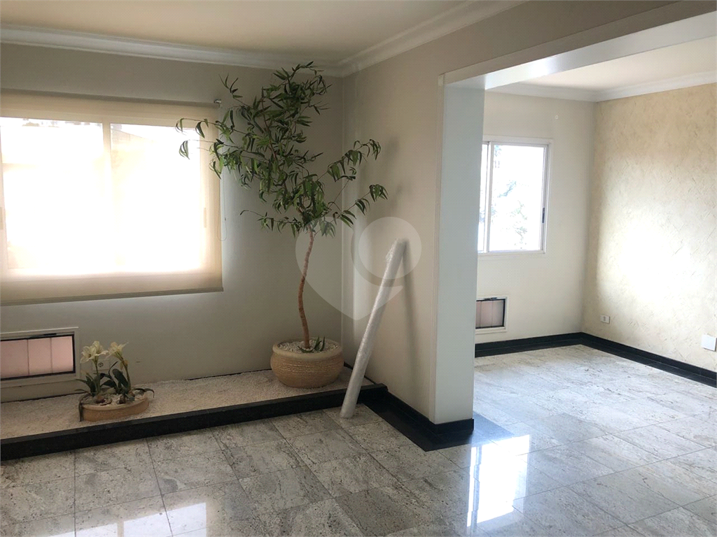 Excelente apartamento 170 metros, Alto de Santana, 3 dormitórios, sendo 1 suíte, armários planejados
