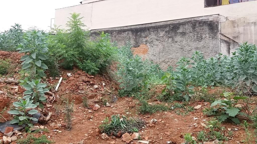 Terreno, 426 m² - Foto 6