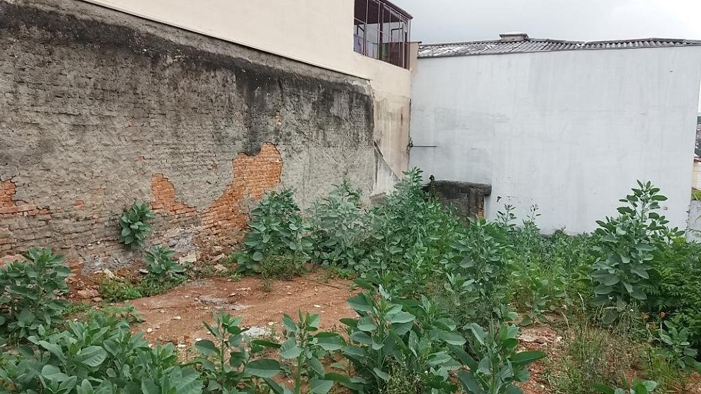 Terreno, 426 m² - Foto 11