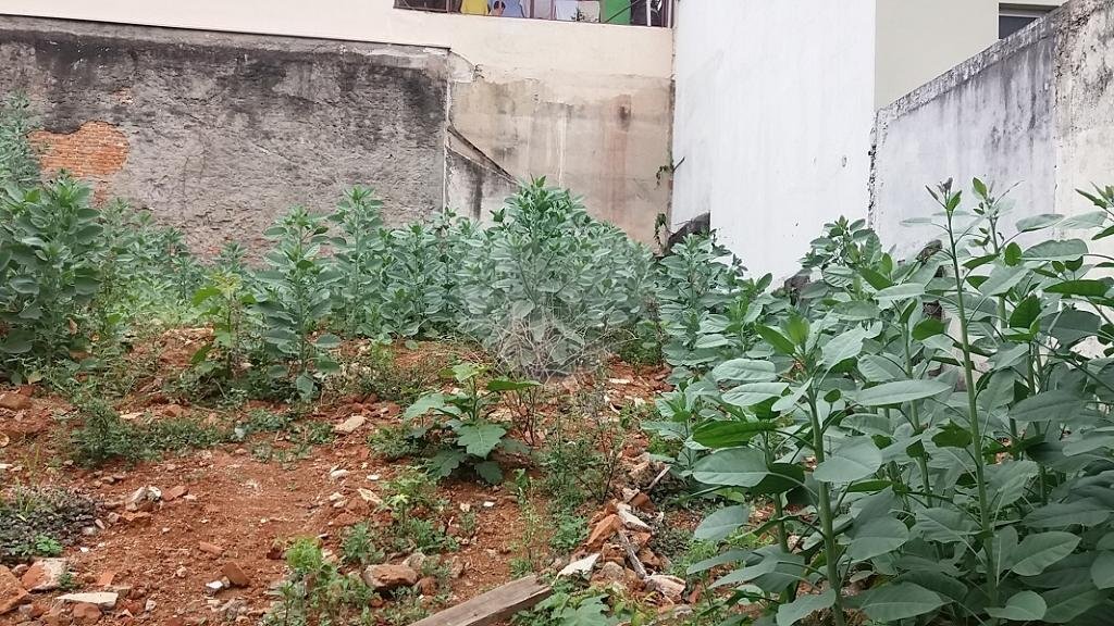 Terreno, 426 m² - Foto 5