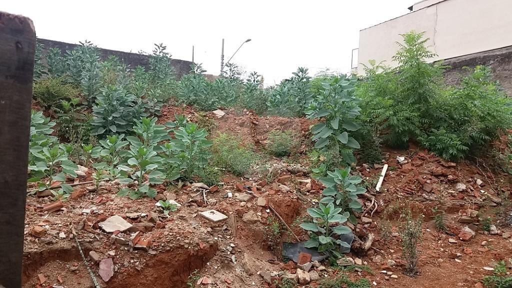 Terreno, 426 m² - Foto 7