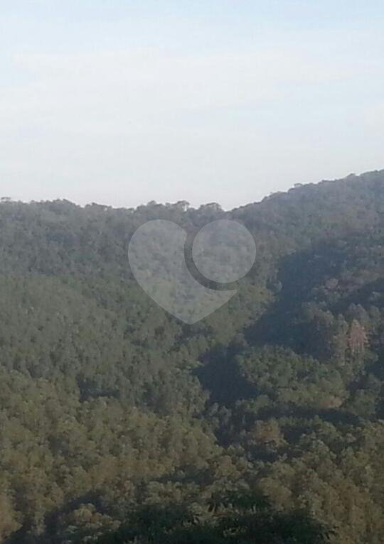 Cas em cond. fechado, serra da cantareira.