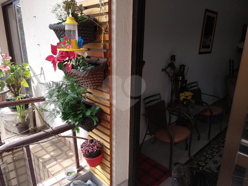 Apartamento Tucurivi