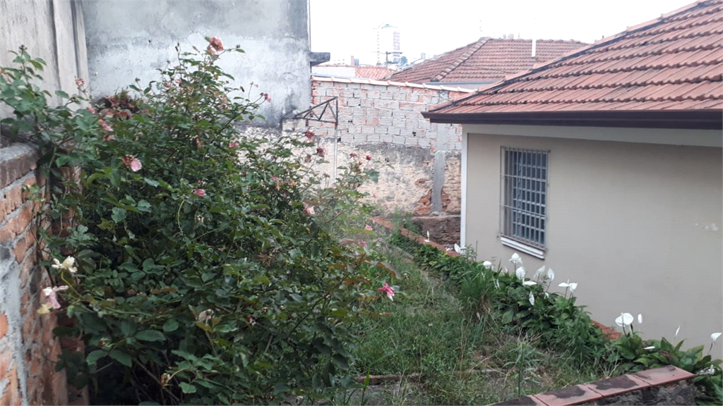 Terreno  ou Casa Térrea na Vila Bonilha com 271 Metros em excelente localização ótima oportunidade!
