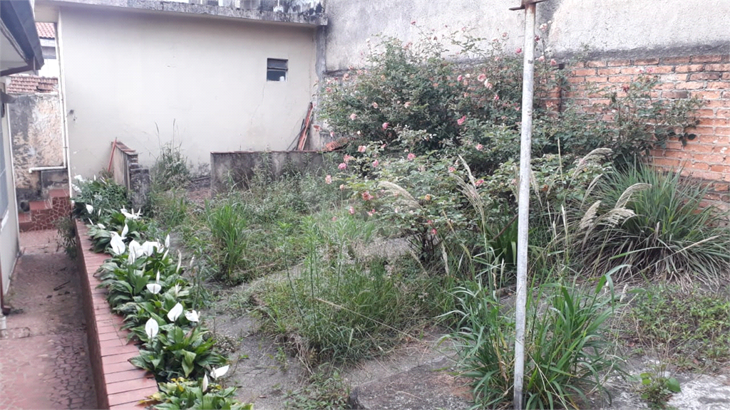 Terreno limpo Pronto para Construir com 271 metros em Ótimo Local Atenção Construtores!!