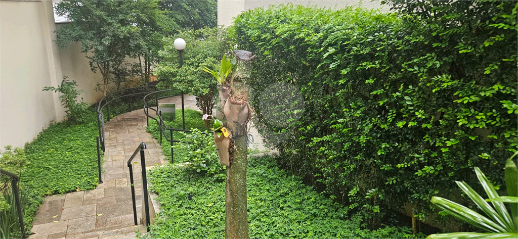 Apartamento Alto da Lapa