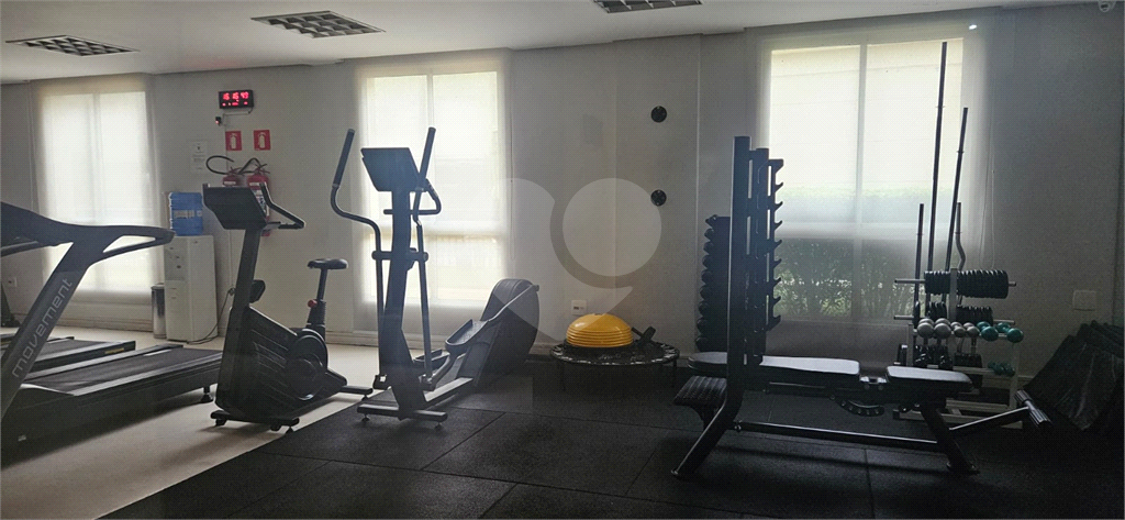 Apartamento Alto da Lapa