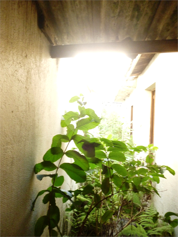 TERRENO - 125 M² - VILA MARIA